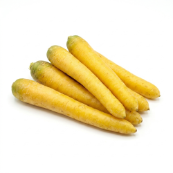Carotte jaune