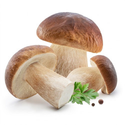 Cèpes entiers 5-8cm 4x1kg
