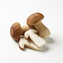 Cèpes morceaux 4x1kg