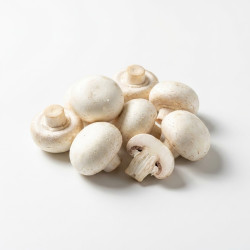 Champignon bouton