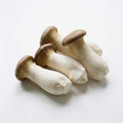 Champignon eryngii