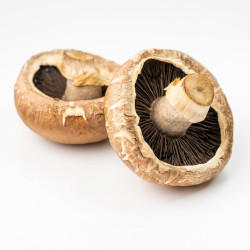 Champignon portobello