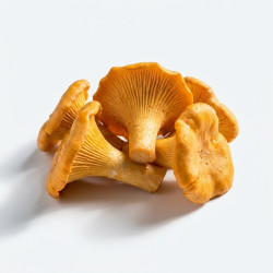 Chanterelles 5x1kg