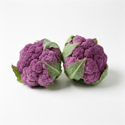Chou-fleur violet