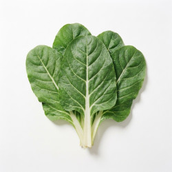 Côtes de bettes 2x2.5kg