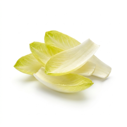 Endive en feuille