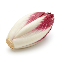 Endive rouge