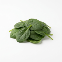 Épinard feuille