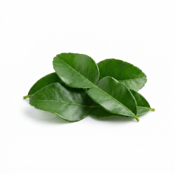 Feuille de citron Kefir -...