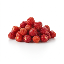 Fraise des bois 125GR