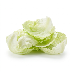 Iceberg en feuille lavée