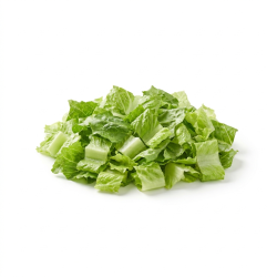 Laitue romaine coupée 20mm