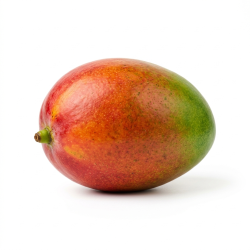 Mangue