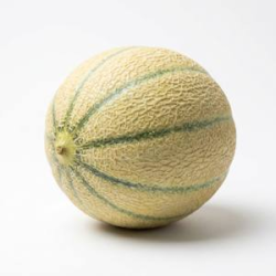 Melon Charentais