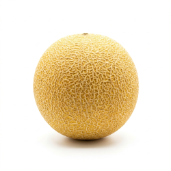 Melon galia