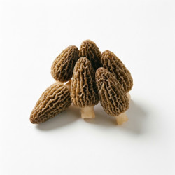 Morilles 2x1kg