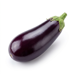 Aubergine