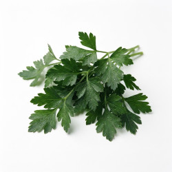 Persil plat hâché