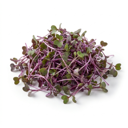 Pousse de chou rouge 100gr