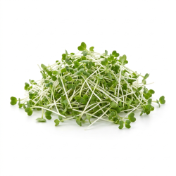 Pousse de radis 100gr