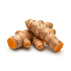 Racine de curcuma