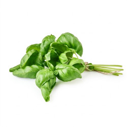 Basilic en botte