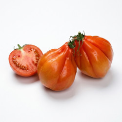 Tomate cœur de bœuf