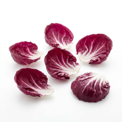 Trévise lavée feuille