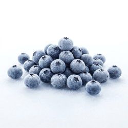 Myrtilles 5x1kg