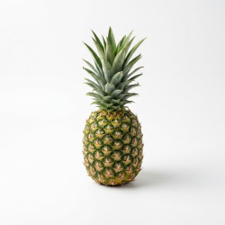 Ananas pain de sucre