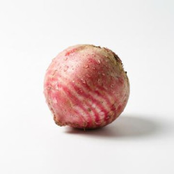 Betterave chioggia pelée