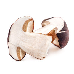 Bolets jaunes coupé 5x1kg