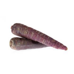 Carotte violette