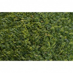 Mountain fox cushion