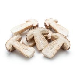 Cèpes lamelles 2x2kg