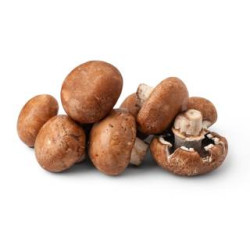 Champignon de Paris brun