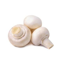 Champignon de Paris gros