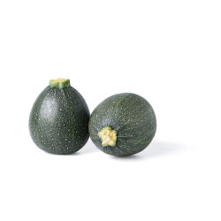 Courgette Rondini (sur...