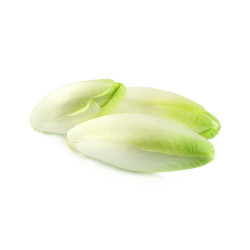 Endive