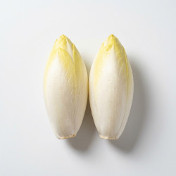 Endive