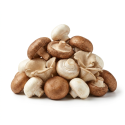 Mélange de champignons 5x1kg