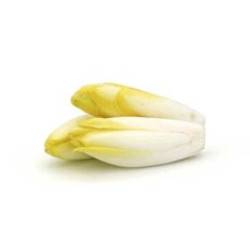 Mini-endive (sur commande 48h)