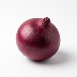 Oignon rouge