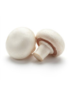 Champignon