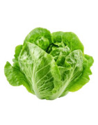 Salades