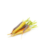 Mini-légumes